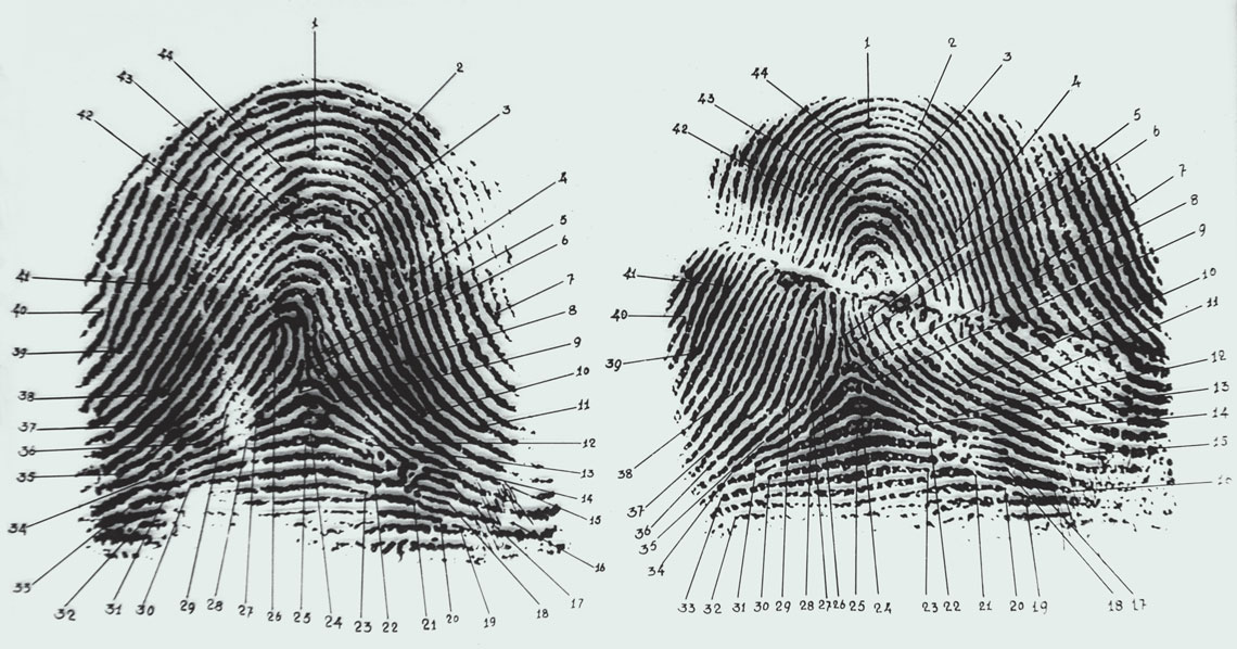 Os 44 pontos assinalam pontos característicos e indicam que a digital é da mesma pessoa, antes e depois da cicatriz que cortou as linhas. Crédito: Revista Fapesp Os 44 pontos assinalam pontos característicos e indicam que a digital é da mesma pessoa, antes e depois da cicatriz que cortou as linhas