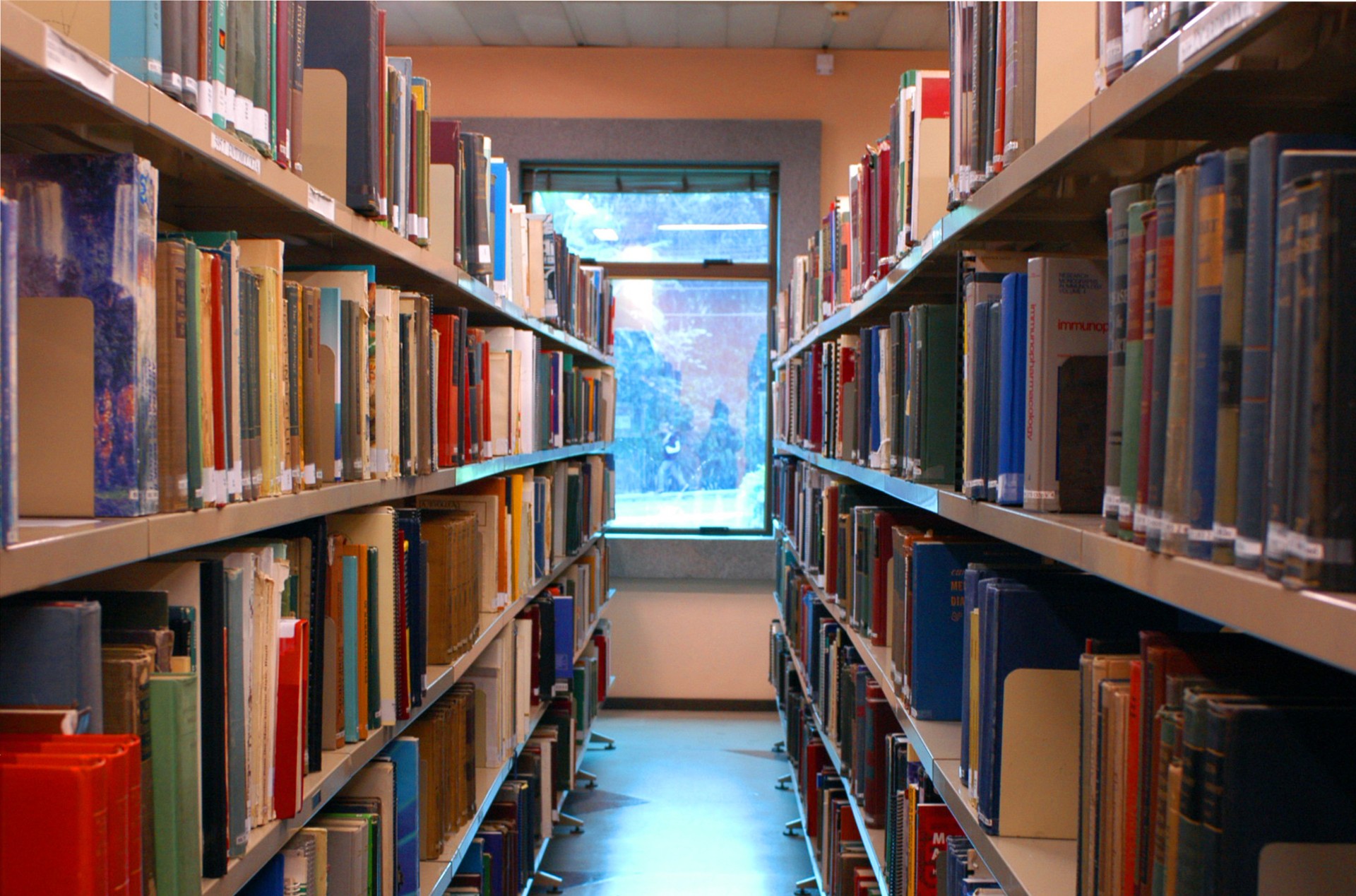 Bibliotecas Físicas - Foto: Peter Ilicciev. Um corredor com duas prateleiras cheias de livros e ao fundo uma janela.