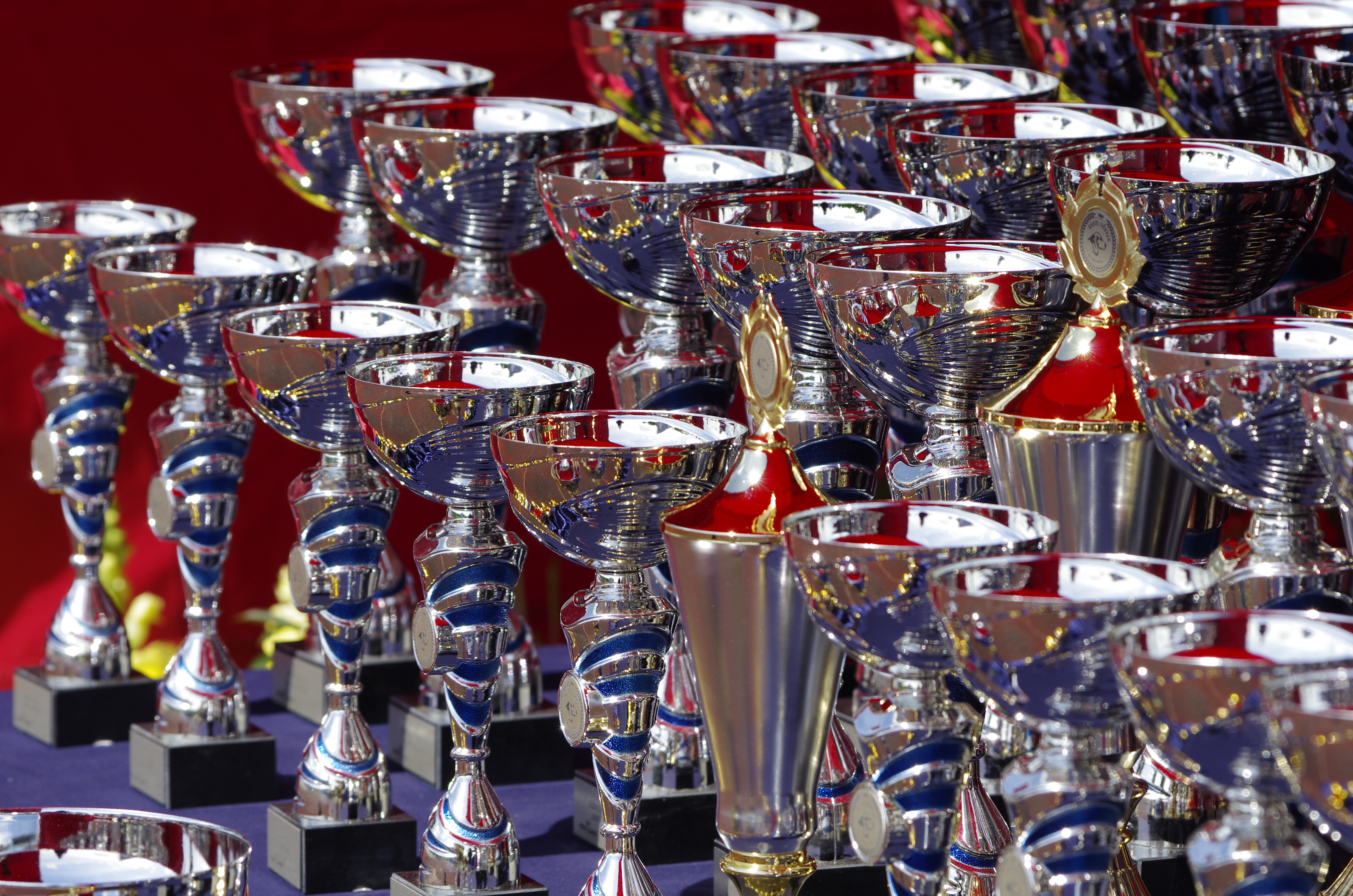 Mostras & Prêmios Foto de diversos troféus arrumados.
