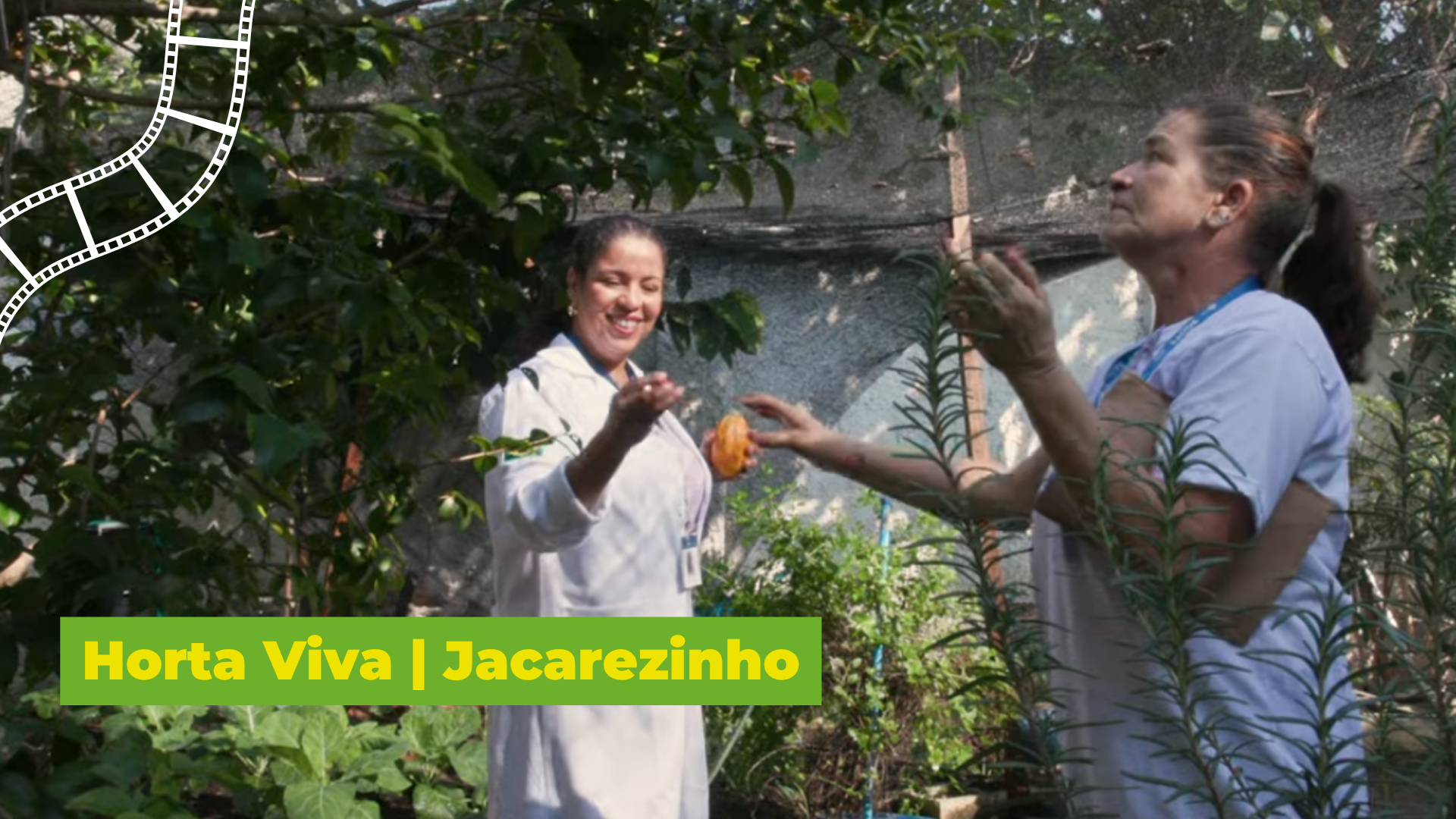 Frame do vídeo Horta Viva Jacarezinho