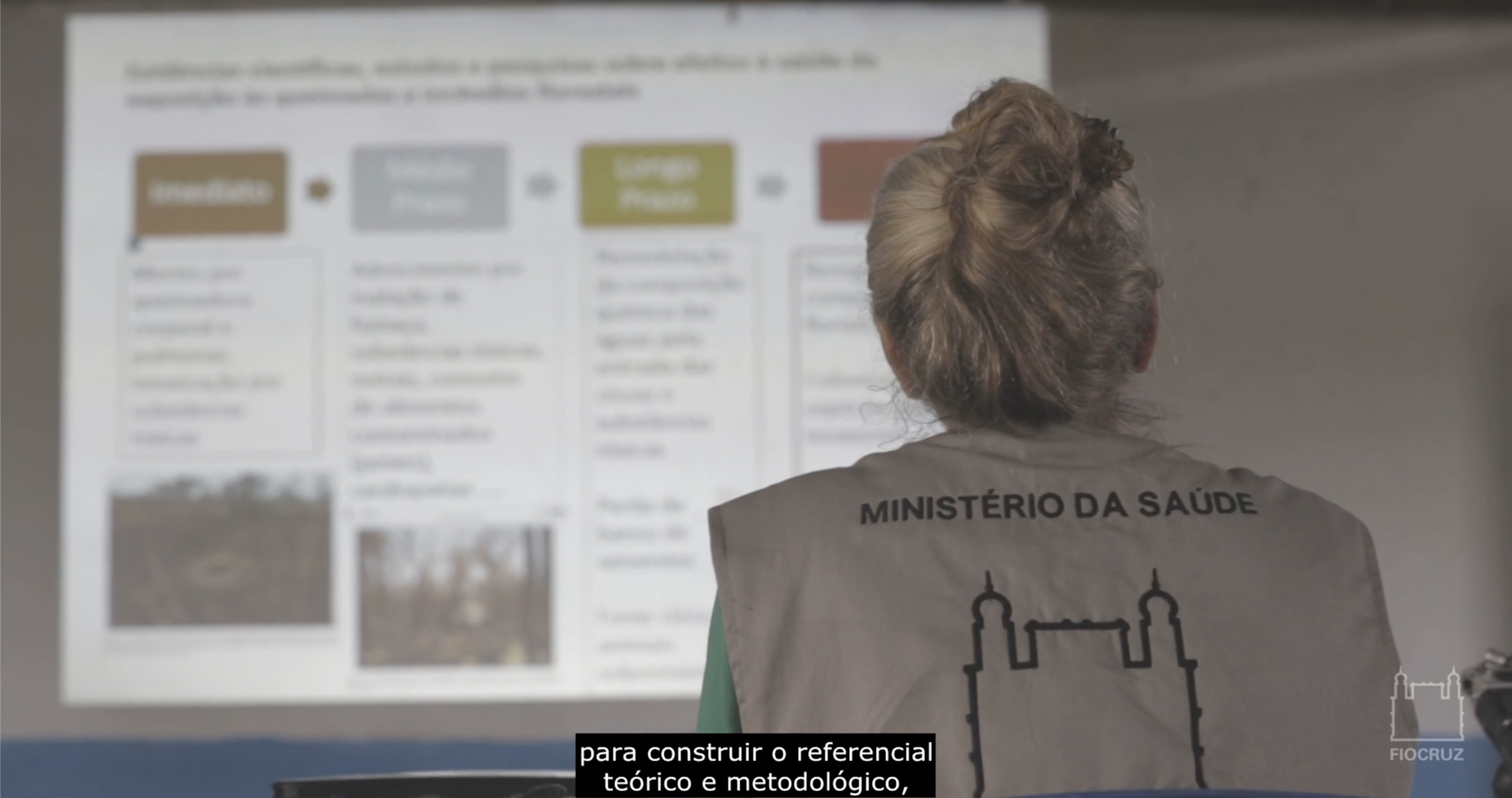 Frame retirado de "Programa Institucional de Territórios Sustentáveis e Saudáveis da Fiocruz".