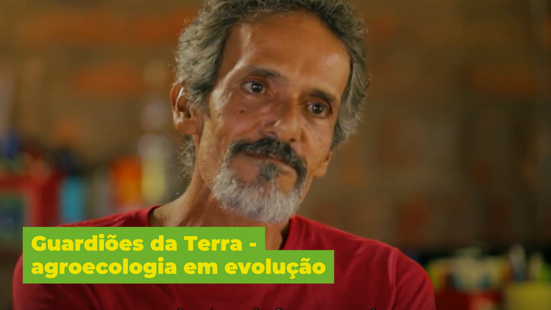 frame do vídeo guardiões da terra