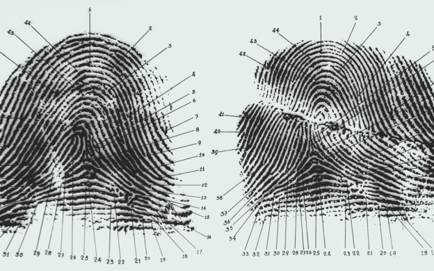 Os 44 pontos assinalam pontos característicos e indicam que a digital é da mesma pessoa, antes e depois da cicatriz que cortou as linhas. Crédito: Revista Fapesp Os 44 pontos assinalam pontos característicos e indicam que a digital é da mesma pessoa, antes e depois da cicatriz que cortou as linhas