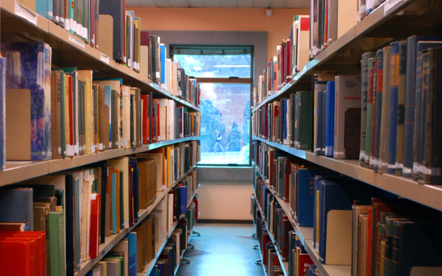 Um corredor com duas prateleiras cheias de livros e ao fundo uma janela.  