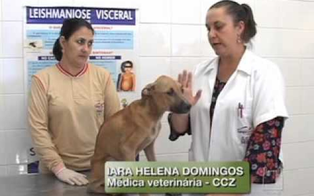 Embedded thumbnail for Leishmaniose visceral - conhecer para controlar | Trailer