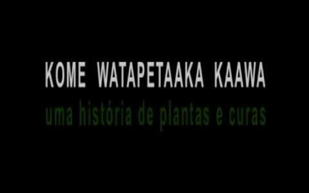 Embedded thumbnail for Baniwa, uma história de plantas e curas | Trailer
