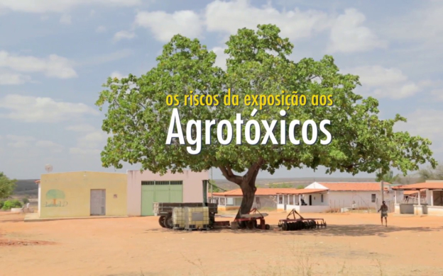 Embedded thumbnail for Série Campos Águas e Floresta - Os riscos da exposição aos agrotóxicos
