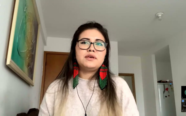 Embedded thumbnail for Vozes Indígenas do território à academia | Rayanne Bare
