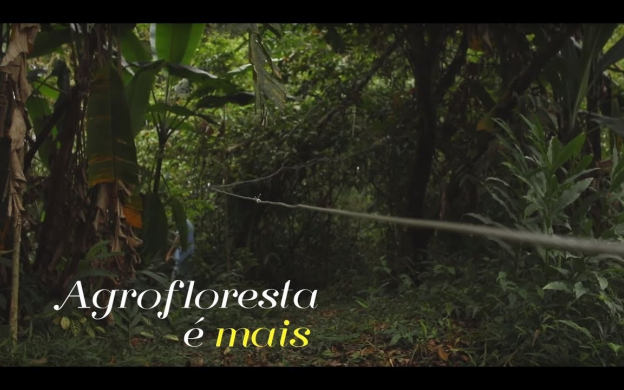 Embedded thumbnail for TRAILER | Agrofloresta é mais
