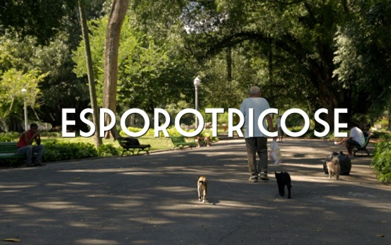Frame - Vídeo Esporotricose - VideoSaúde Distribuidora