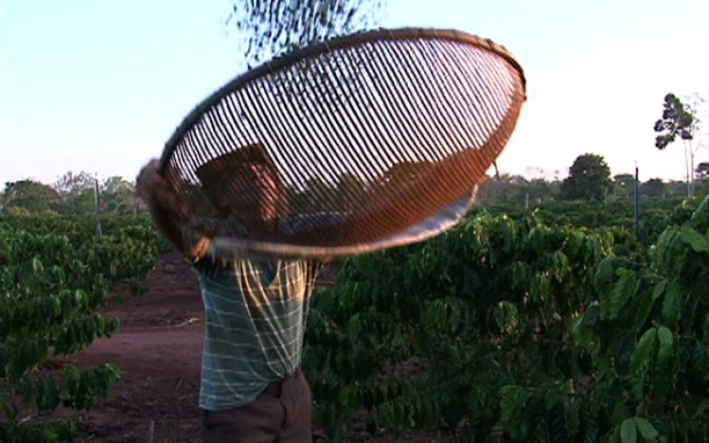 Trabalhador rural Trabalhador rural