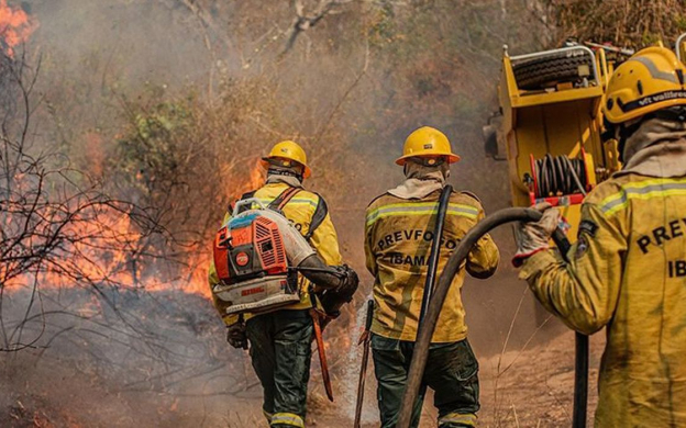 Equipe de combate a incêndio, com uniformes amarelos e equipamentos, atua em área de vegetação atingida pelo fogo e pela fumaça.