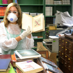 Rede de Bibliotecas Fiocruz realiza mutirão na Biblioteca Walter Mendes