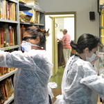 Rede de Bibliotecas Fiocruz realiza mutirão na Biblioteca Walter Mendes