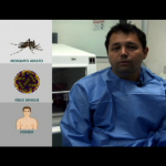 VideoSaúde - Programa Especial Aula 1 sobre Dengue