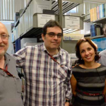 Jacques Sochaczewski, Rodrigo Murtinho, Vania Guerra e Rodrigo Ferrari (Fotos: Amanda Simões - Multimeios/Icict)