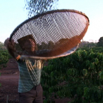 Trabalhador rural 