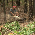 Homem em ambiente rural, propício para aspirar o fungo