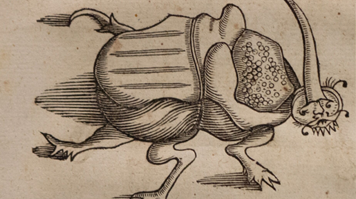 Detalhe de inseto no livro História Naturalis Brasiliae, primeiro tratado de história natural do Brasil.
